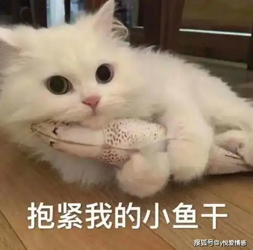  女生不回你消息,手把手教你轻松应对,轻松牵手女神