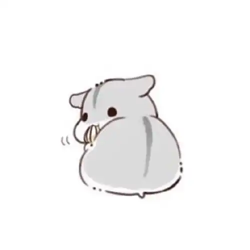  六月的相册小仓鼠
