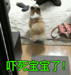  9号秘事脑洞这么大,你让其他神剧可怎么活