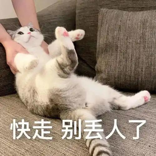  表情sir快走,别丢人了