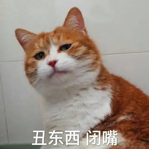 给你个台阶下表情包台阶