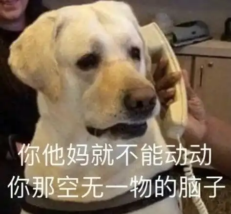 萌宠表情包哥什么风浪没见过