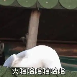  要冻死在北京的秋天我不甘心