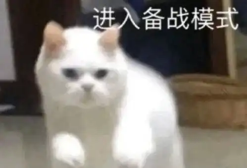 倒数表情包沙雕