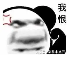  跟你超配的沙雕熊猫头表情包