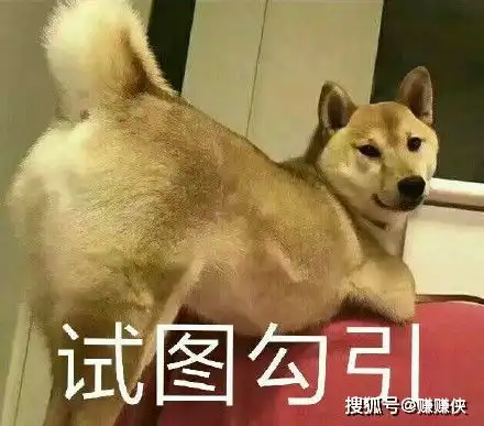 奋斗的表情包图片勾引