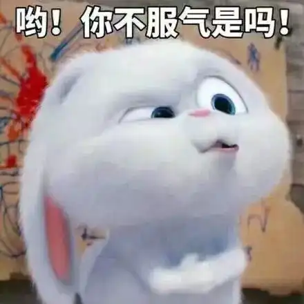  全世界设计最神奇的9本书最后一本我爱了...