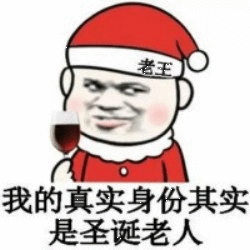 污表情包gif圣诞帽
