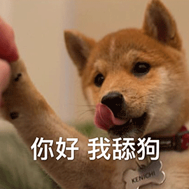  狗狗舔你代表什么流浪狗为何爱夹着尾巴一文读懂狗狗的肢体语