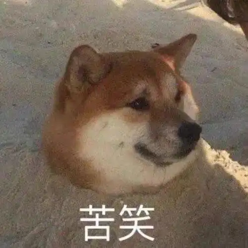  欢迎来到,这个属于我的世界