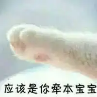 情侣牵手猫爪表情包,收好不谢