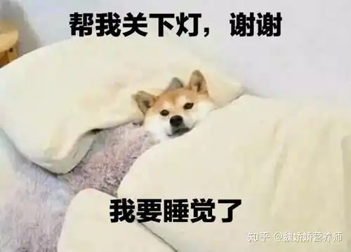  熬夜也会导致肥胖,那可是有事实依据的