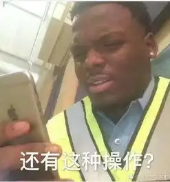  我的2017致我在非洲的900个夏天