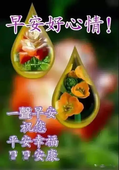  对人要学会绝情,该滚的滚,该留的留,但你也要学会珍惜,早安