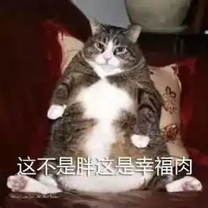  聊天表情包满脸写着高兴