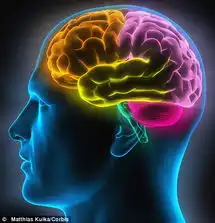  科学家解码脑电波人类离读心机再近一步