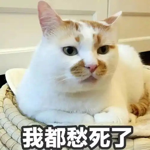  雨中上马,有了你们更精彩