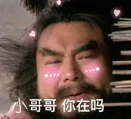  追小哥哥的表情包24张