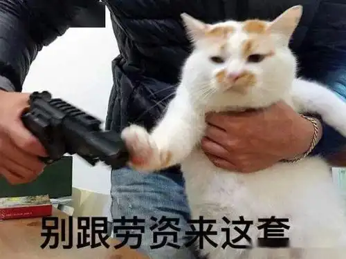  罗永浩直播时吃猫罐头,网友这有啥,我拿猫粮当饭吃