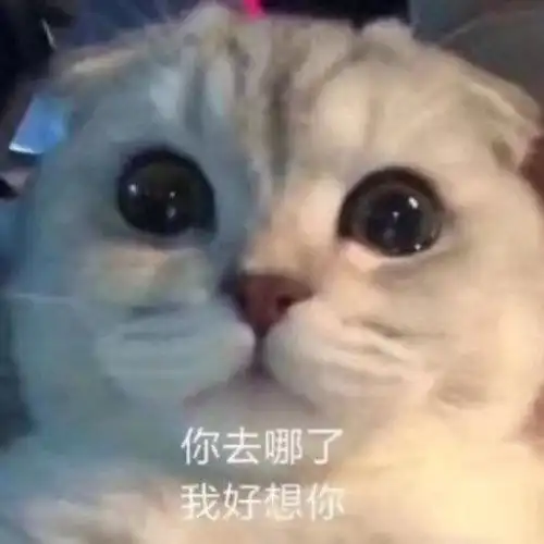 女人表情包评论区易烊千