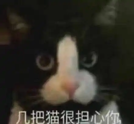 huh猫表情包动图退钱