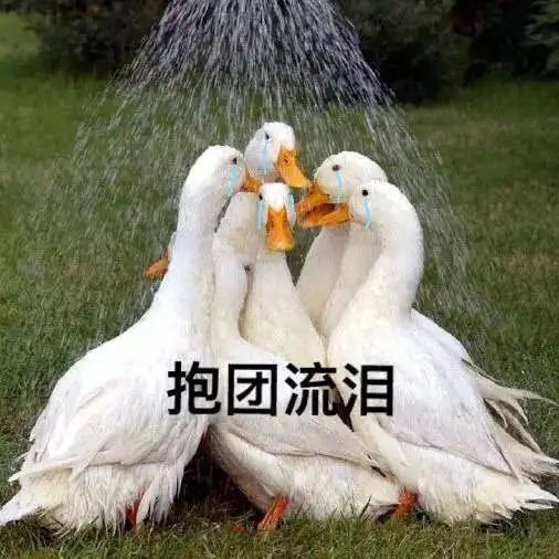  劲爆消息点击续杯七天假期