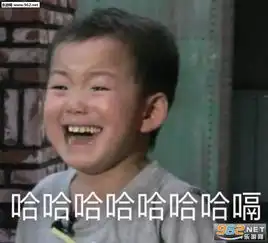 宋民国爆笑表情图