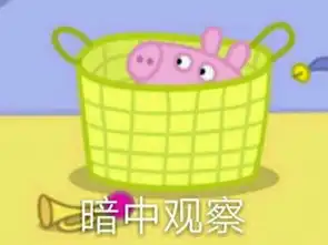  boom猪猪表情包第二弹
