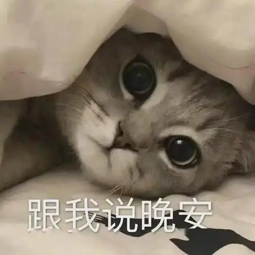  王力宏离婚的原因找到了网友无语啊啊啊辟谣说了个寂寞
