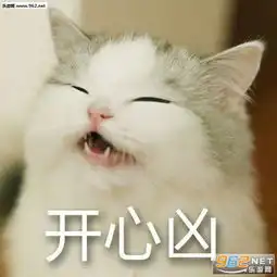  你走吧我妈不让我跟傻子玩系列猫咪表情包带字图片你的小可爱突然出现吸猫表情包下载乐游网游戏下载