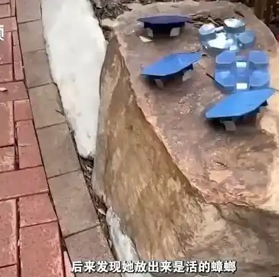  住户竟在小区花园放生蟑螂,惹业主众怒,问其理由居然是不忍杀生