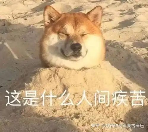  今年是被耽误的一年,能不能今年大家集中精力抗疫,把今年折叠,明年重启2020年