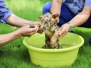 洗澡了表情包小脑斧