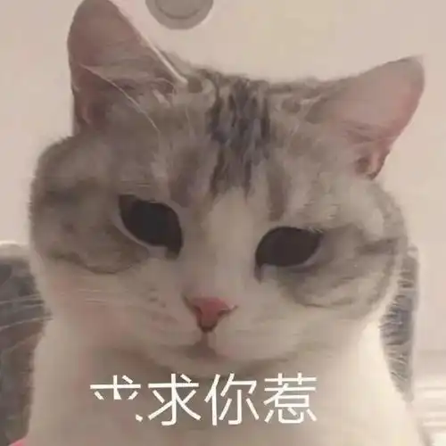  一组可以哄女朋友开心的超可爱表情包