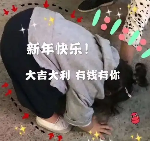  开门大红包,2020发发发