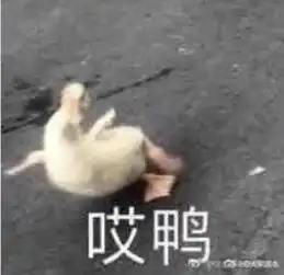  张学友和刘德华的粉丝居然还能撕起来
