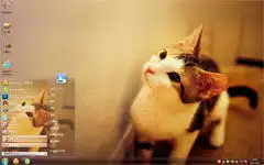  横梁上的小猫咪win7主题