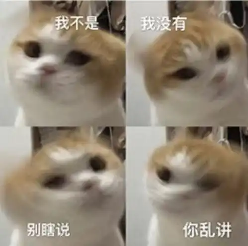  我不是我没有别瞎说你乱讲猫咪否认四连四连猫咪乱讲瞎说否认表情