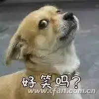  1秒运行winr也能实现应用秒启动
