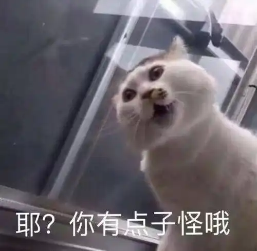 太可爱了捂心口表情包12