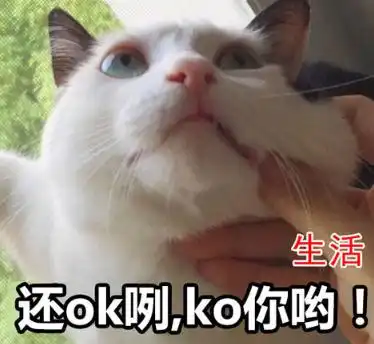  生活和我,生活永远压着我