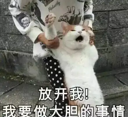 网恋选我我超甜表情包选