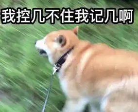  好奇害了狗狗子出门一趟竟被咬成猪鼻子