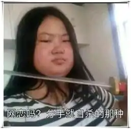  有一种表情包叫做网恋包在吗网恋吗分手就互扇的那种哦
