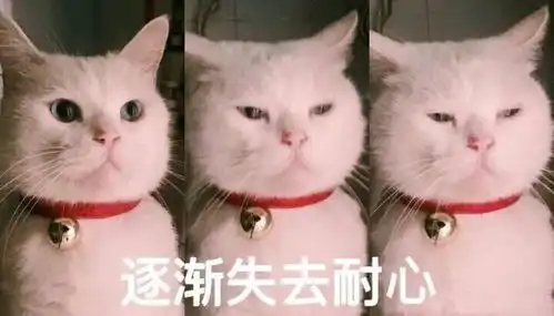  这又是一个重复上演的合伙开餐厅的故事