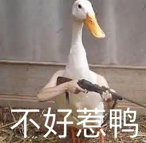 违章表情包大鹏展翅