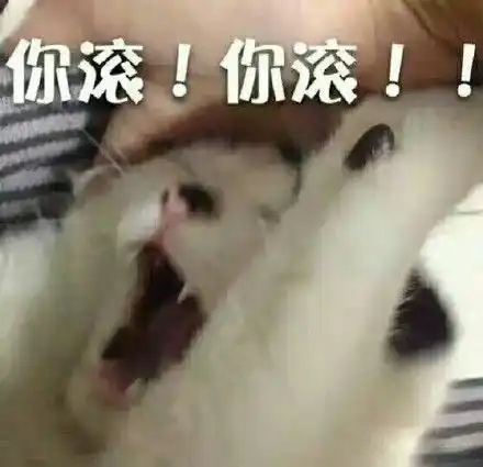  给2019寒假生存指南