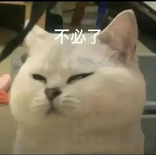  合法但有病的发疯小猫表情包
