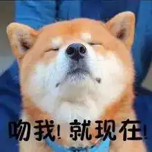  表情包这是史上最全的单身狗系列表情包