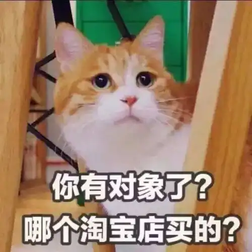  猫奴们的双十一百利猫粮大宠爱爱沃克...